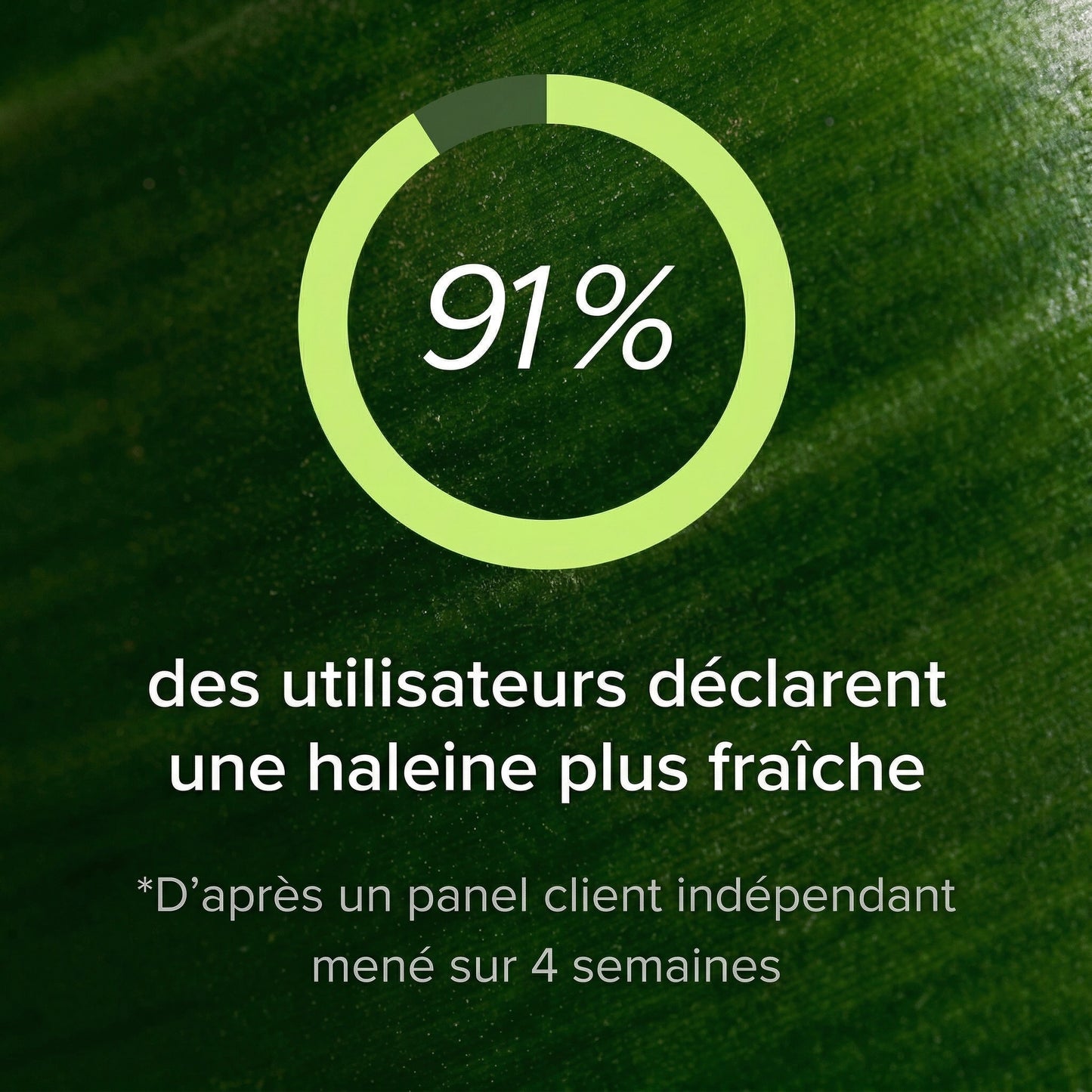 Complément alimentaire à base de gel aux plantes contre la mauvaise haleine par Rovena