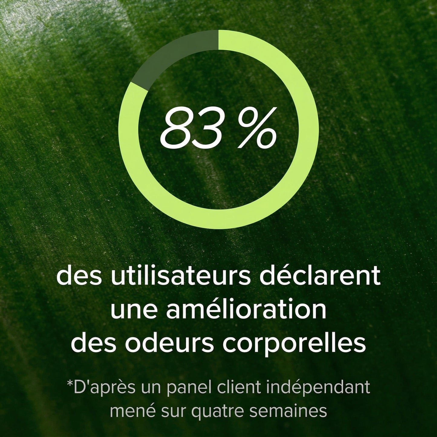 Complément alimentaire à base de gel aux plantes contre la mauvaise haleine par Rovena