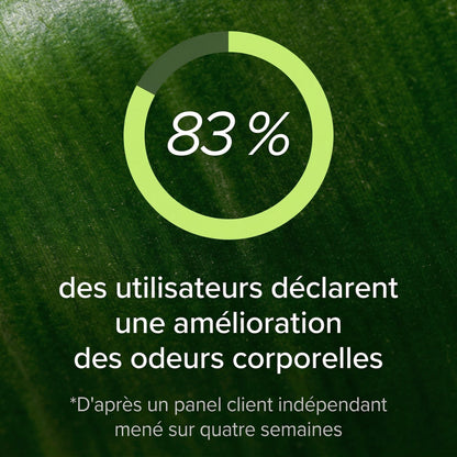 Complément alimentaire à base de gel aux plantes contre la mauvaise haleine par Rovena