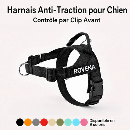 Harnais Anti-Traction