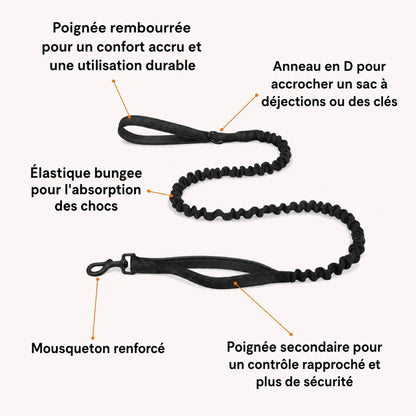 Harnais Anti-Traction