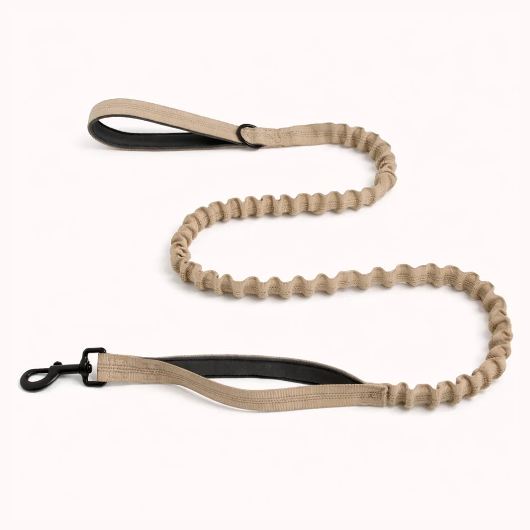Laisse Extensible Assortie
