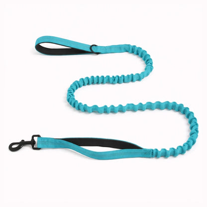 Laisse Extensible Assortie