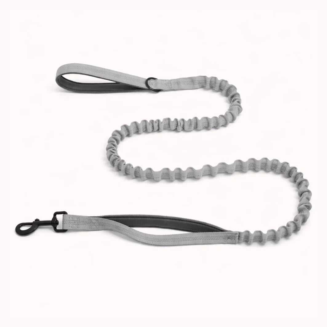 Laisse Extensible Assortie