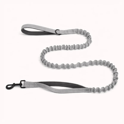 Laisse Extensible Assortie
