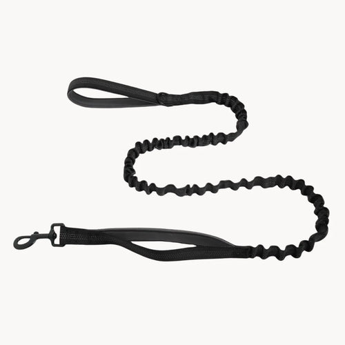 Laisse Extensible Assortie