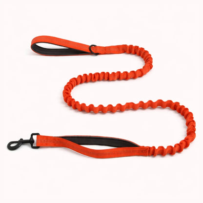 Laisse Extensible Assortie