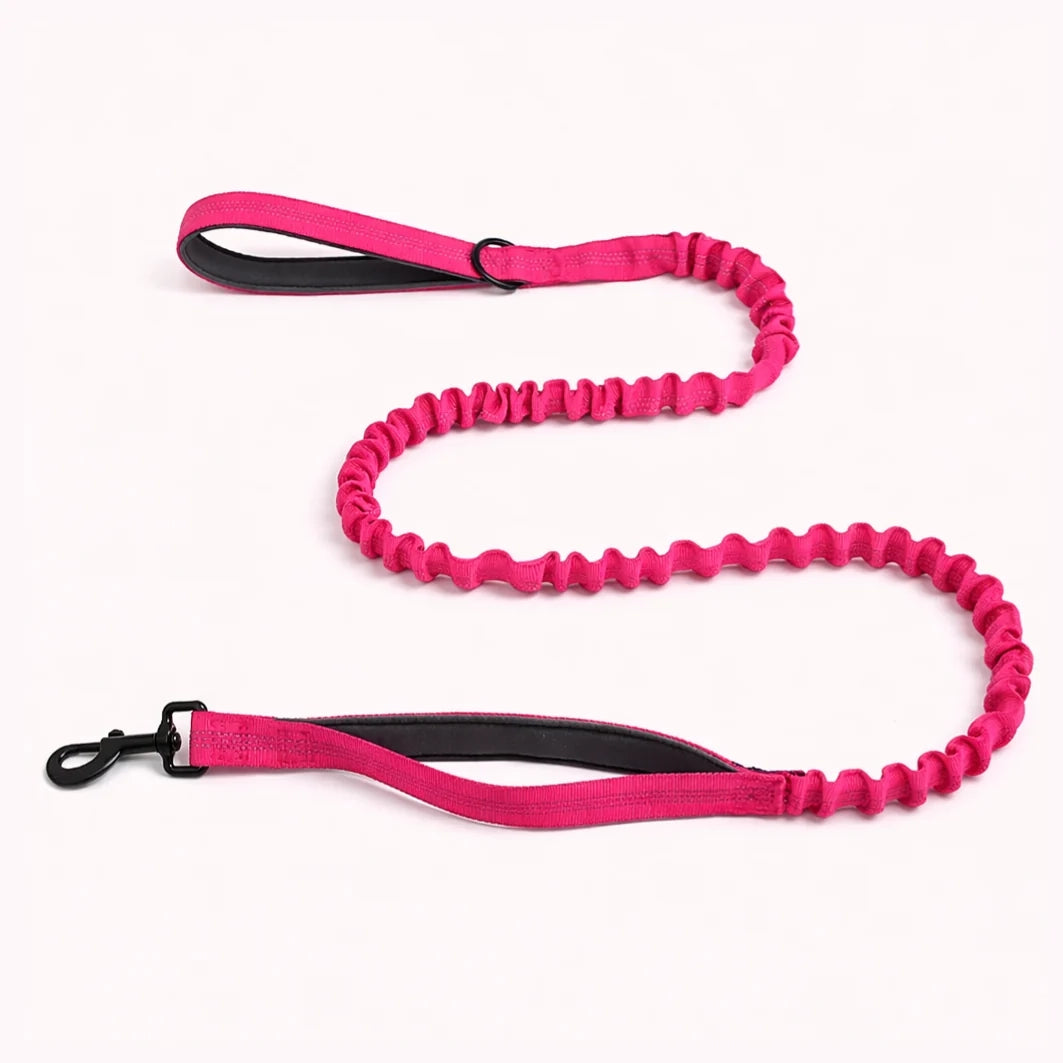 Laisse Extensible Assortie