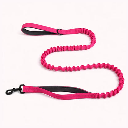 Laisse Extensible Assortie