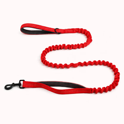 Laisse Extensible Assortie