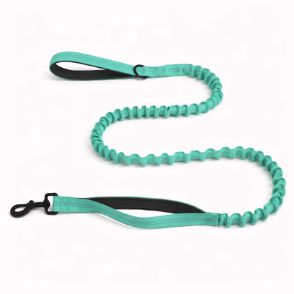Laisse Extensible Assortie
