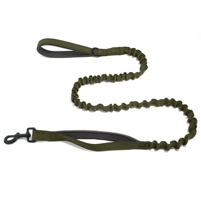 Laisse Extensible Assortie